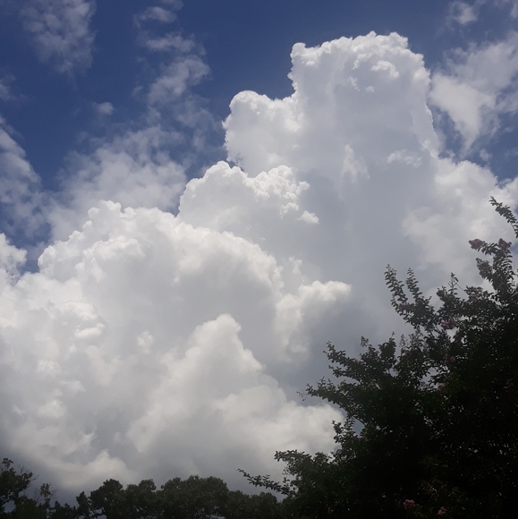 Meet your Posher, Leona - Picture 1 of 3